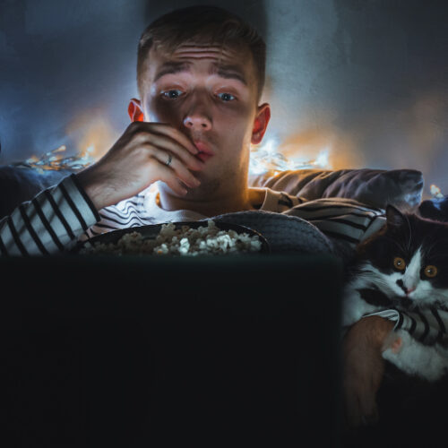 young-man-watching-movie-at-home-with-cat-man-eati-YAJCM2D.jpg