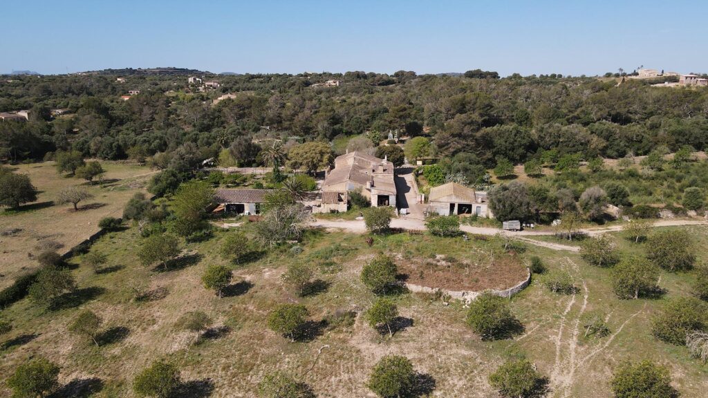 Real State - Finca Manacor - Mallorca, Spain