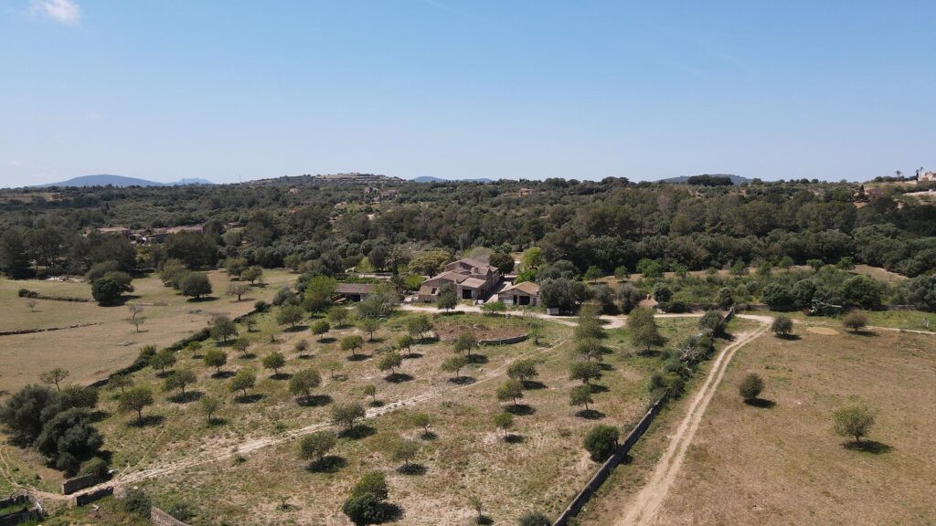 Real State - Finca Manacor - Mallorca, Spain