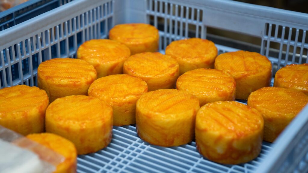 Homemade Cheese - El Moli de l'Alzina - Girona, Catalunya