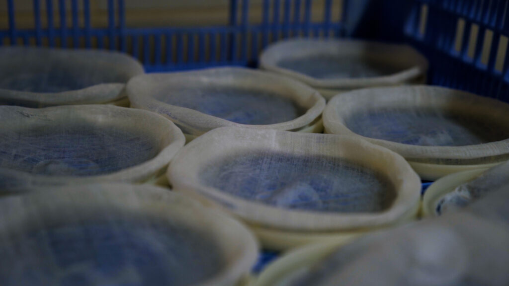Homemade Cheese - El Moli de l'Alzina - Girona, Catalunya