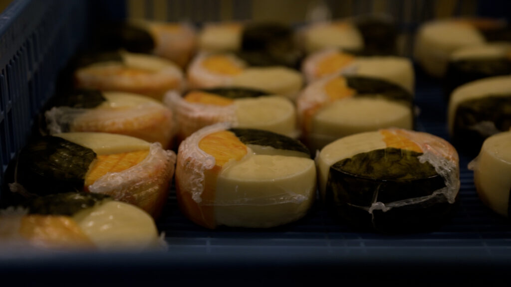 Homemade Cheese - El Moli de l'Alzina - Girona, Catalunya